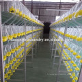 hot selling and good quality quail breeding cages